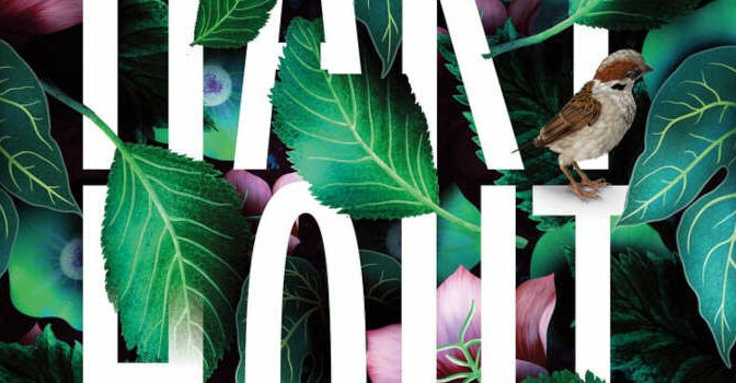 Amity Gaige – Hardhout