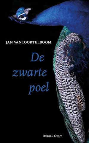 Jan Vantoortelboom De zwarte poel