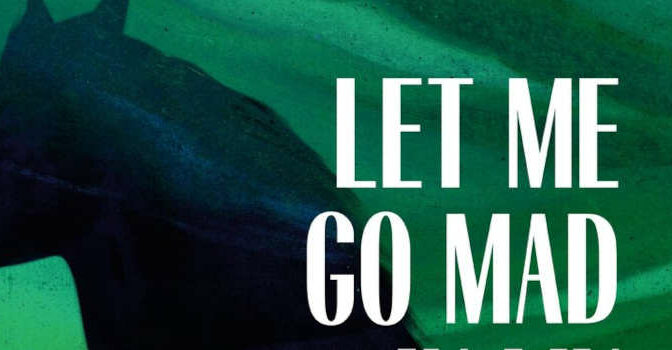 Let Me Go Mad in My Own Way Elaine Feeney Novel
