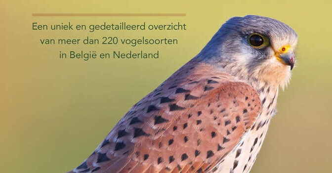 De complete vogelgids van Nederland en Belgie van ornitholoog Einhard Bezzel