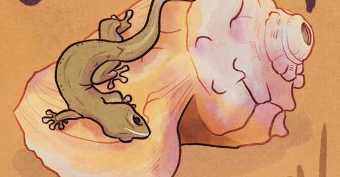 De opdracht van Tula boek van Robin Raven