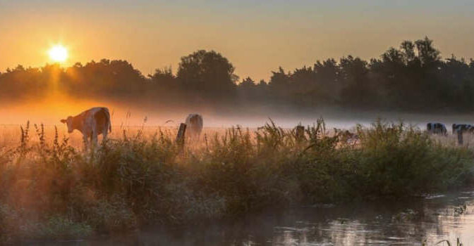 Typisch Twente René Zanderink boek over de culinaire bijzonderheden van de streek