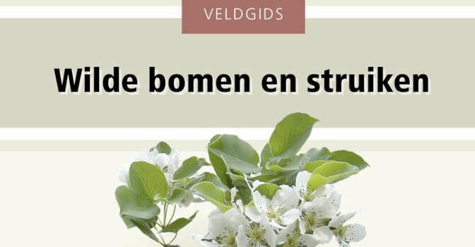 Veldgids wilde bomen en struiken van Lodewijk van Kemenade & Bert Maes
