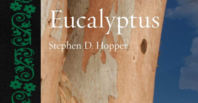 Stephen D. Hopper – Eucalyptus