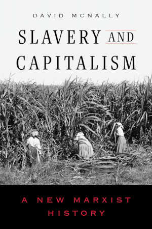 David McNally Slavery and Capitalism