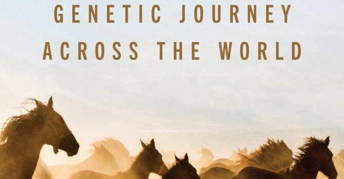 Ludovic Orlando – Horses