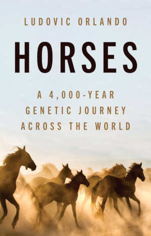 Ludovic Orlando Horses