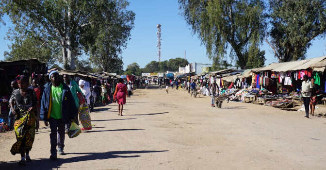 Zambia schrijvers schrijfsters romans en andere boeken