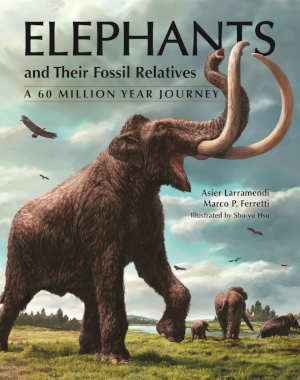 Asier Larramendi and Marco P. Ferretti Elephants review