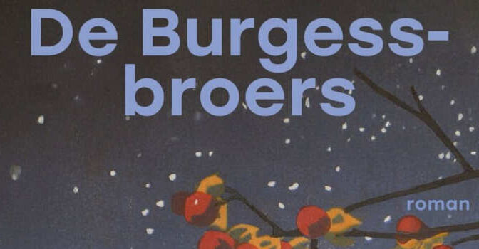 De Burgess-broers Elizabeth Strout roman Lucy Barton 4