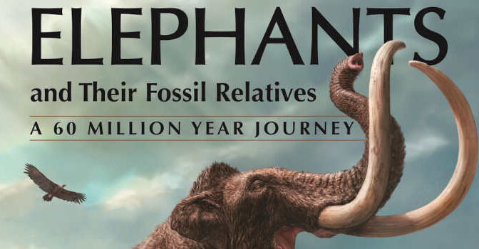 Elephants and Their Fossil Relatives Asier Larramendi & Marco P. Ferretti Book