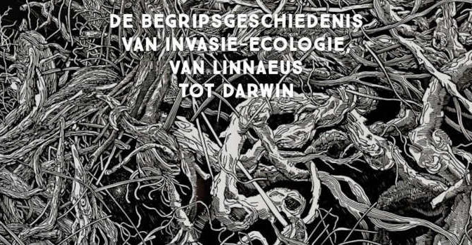 Norbert Peeters – Exoot