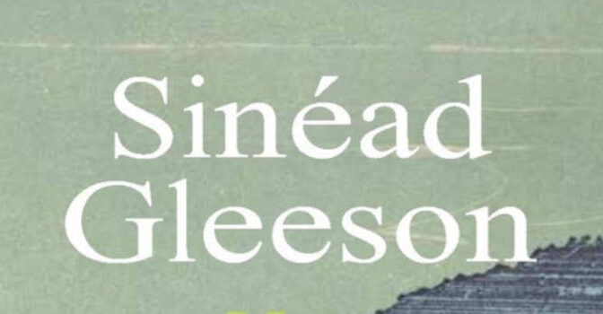 Heksensteen roman van de Ierse schrijfster Sinéad Gleeson