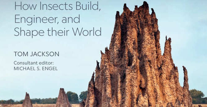 Insect Architecture Tom Jackson Book about How Insects Build, Engineer and Shape Their World