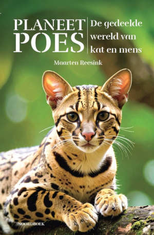 Maarten Reesink Planeet Poes