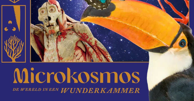 Microkosmos Harry Tupan boek en tentoonstelling over de wereld in een Wunderkammer