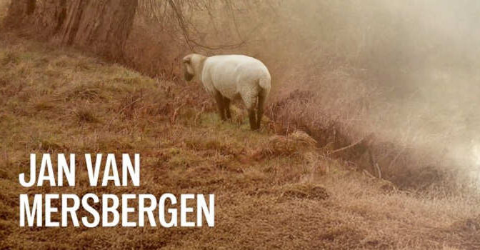 Recht van duivenvlucht Jan van Mersbergen thriller De zwarte heerlijkheid 1