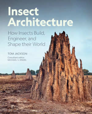Tom Jackson Insect Architecture