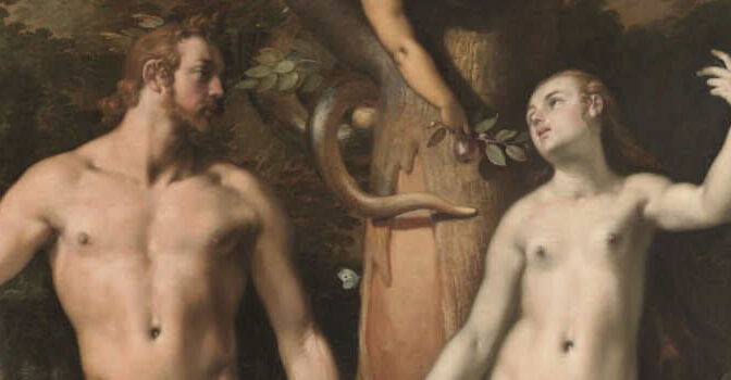 Het menselijk tekort Midas Dekkers boek over de mens