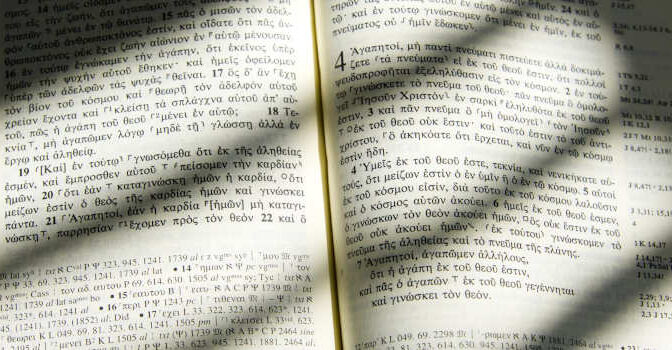 Linguïstiek en taalkundige boeken
