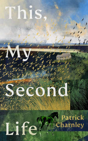 Patrick Charnley This, My Second Life review