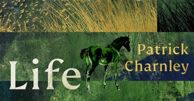 This, My Second Life Patrick Charnley Novel