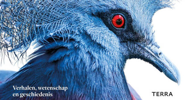 Rob Hume – Vogels van de wereld