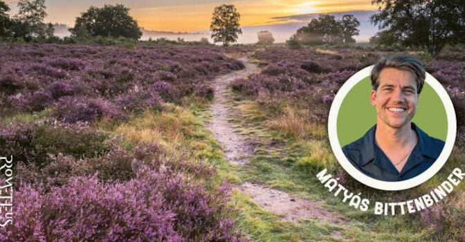 Wilde wegen Mátyás Bittenbinder boek op wandeltocht door de Nederlandse natuur