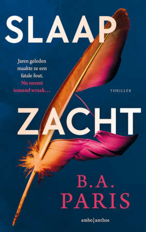 B.A. Paris Slaap zacht recensie
