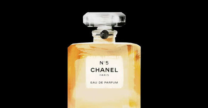 Chanel Illustrated Siska Lyssens Book about the iconic fashion house