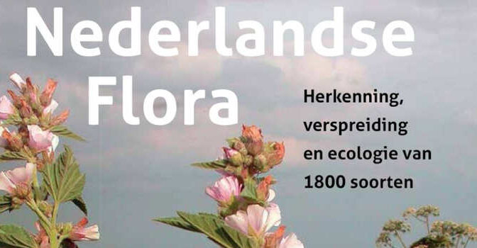Kok van Herk – Handboek Nederlandse Flora