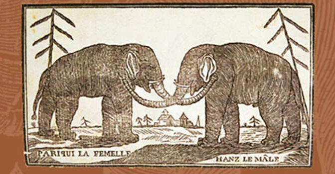 Hans en Parkie Nanet van Braam Houckgeest boek over twee olifanten op Het Loo