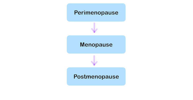 Menopauze en overgang boeken