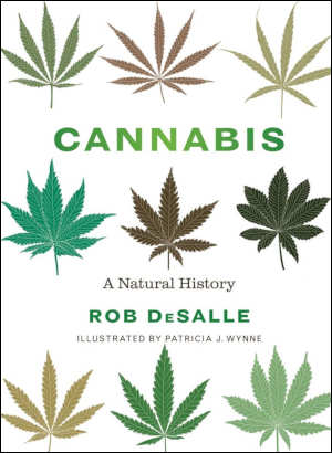 Rob DeSalle Cannabis
