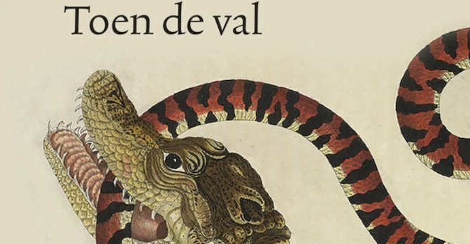 Toen de val Iraida Martha Ooft roman van over de SLM ramp van de Surinaamse schrijfster