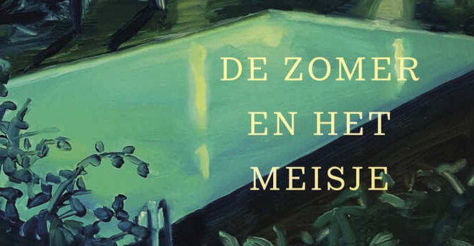 De zomer en het meisje Annabel Essink roman