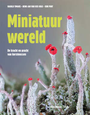 Harold Timans & Henk-Jan Van der Kolk Miniatuurwereld