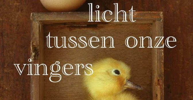 Het licht tussen onze vingers Benny Lindelauf roman