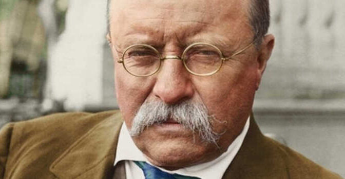 In the Arena Theodore Roosevelt Biography in War, Peace, and Revolution written by David S. Brown