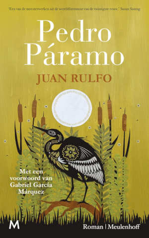 Juan Rulfo Pedro Páramo recensie