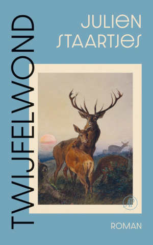 Julien Staartjes Twijfelwond