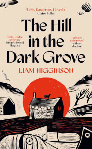 Liam Higginson The Hill in the Dark Grove review