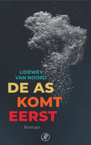 Lidewey van Noord De as komt eerst recensie
