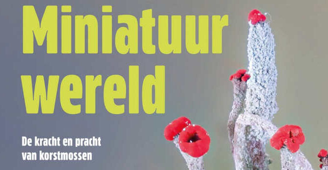 Miniatuurwereld Harold Timans en Henk-Jan Van der Kolk boek over de kracht en pracht van korstmossen