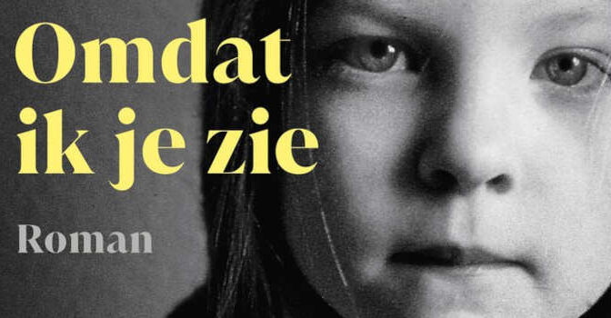Omdat ik je zie Eva Posthuma de Boer roman