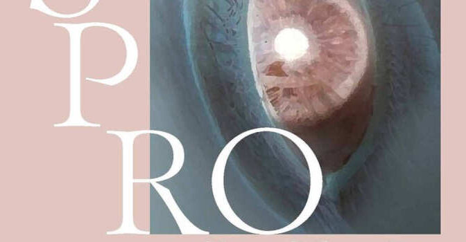 Oogsprong Bernke Klein Zandvoort boek met een verhaal over zien en niet zien