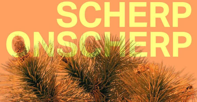 Scherp onscherp Fenna Riethof roman