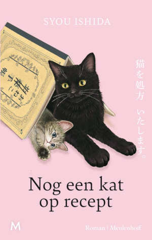 Syou Ishida Nog een kat op recept recensie