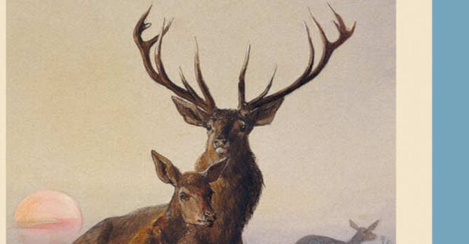 Twijfelwond Julien Staartjes debuutroman