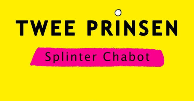 Twee prinsen Splinter Chabot roman
